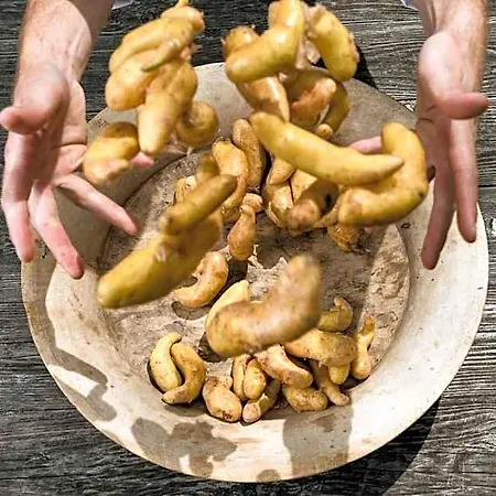 & Gourmetwirtshaus Kirchenwirt Seit 1326 Szálloda