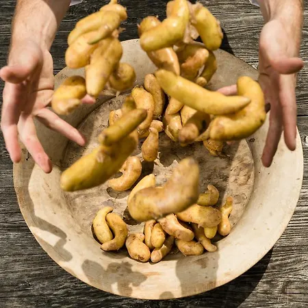 & Gourmetwirtshaus Kirchenwirt Seit 1326 מלון