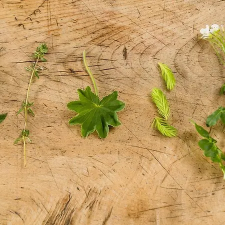 & Gourmetwirtshaus Kirchenwirt Seit 1326 Hotel Leogang
