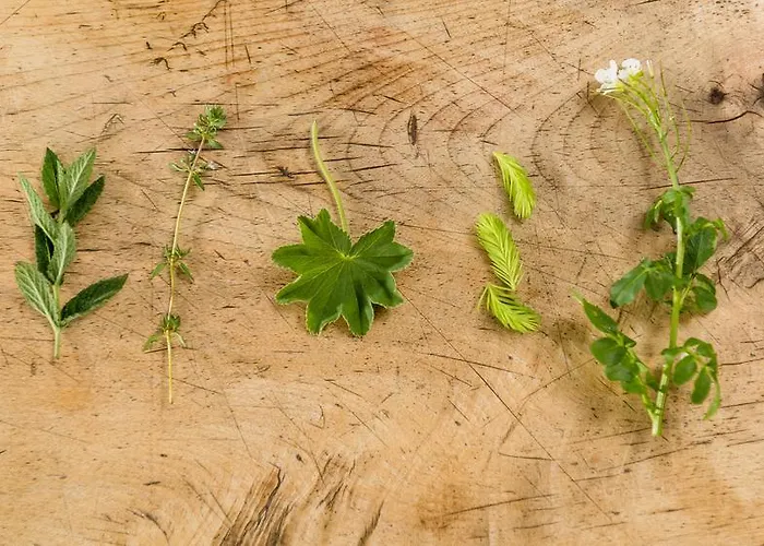 & Gourmetwirtshaus Kirchenwirt Seit 1326 Hotel Leogang